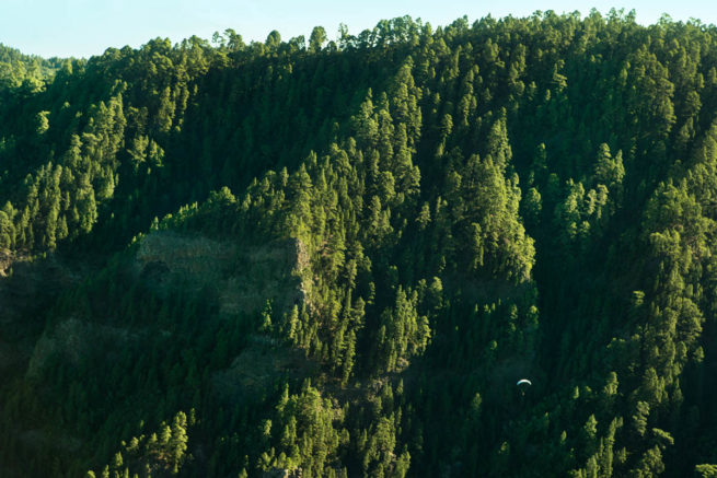 Tenerife Paragliding trees landscape awesome